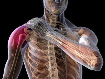 torn rotator cuff, injury, injuries, Virginia injury lawyer